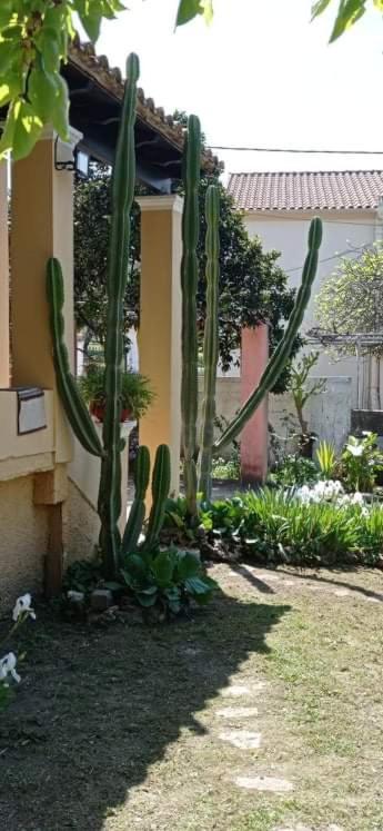 Roula'S House Villa Nymfai Kültér fotó