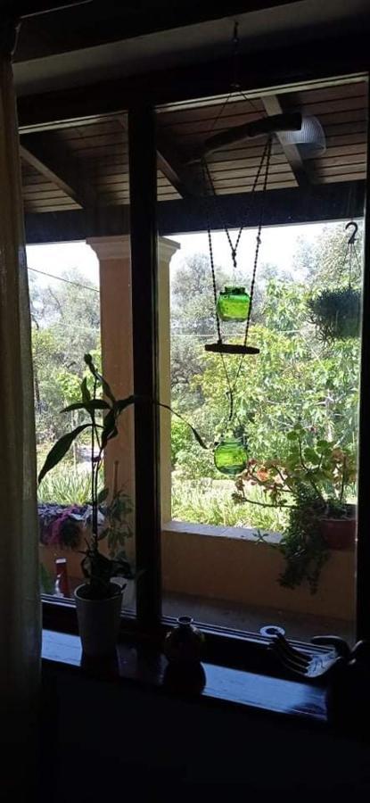 Roula'S House Villa Nymfai Kültér fotó