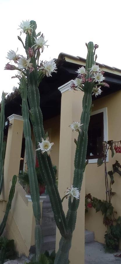 Roula'S House Villa Nymfai Kültér fotó
